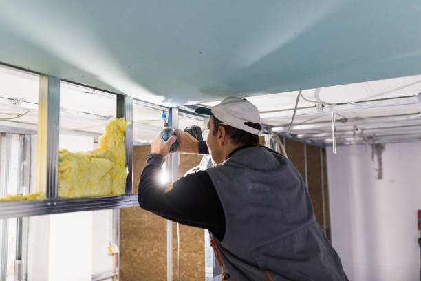 Types of Insulation We Offer in Dilworthtown, PA